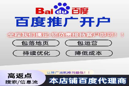 百度推广实战：案例分享与优化建议